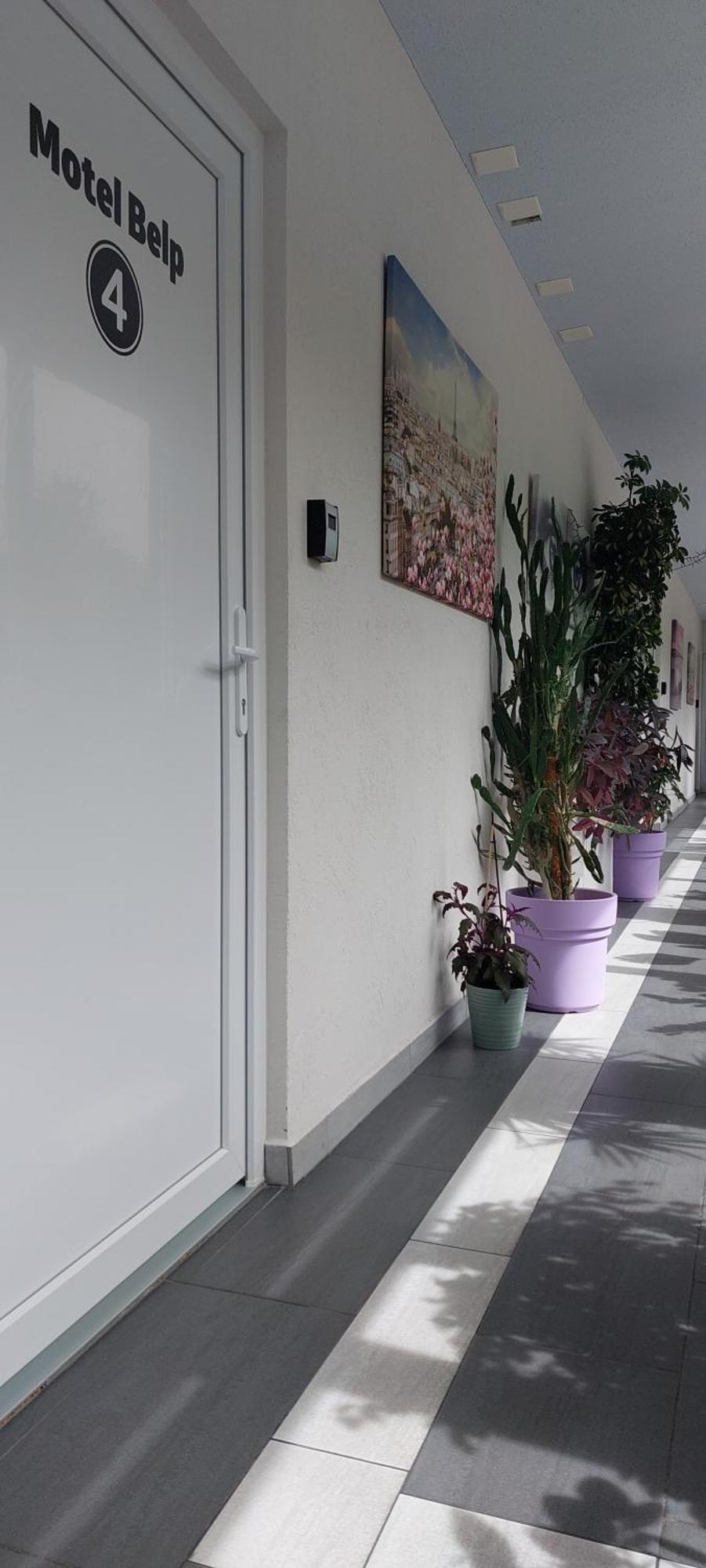 Hotel Belp Bern Airport Free Parking Exteriör bild