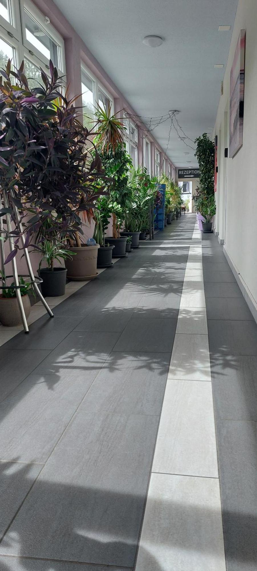 Hotel Belp Bern Airport Free Parking Exteriör bild