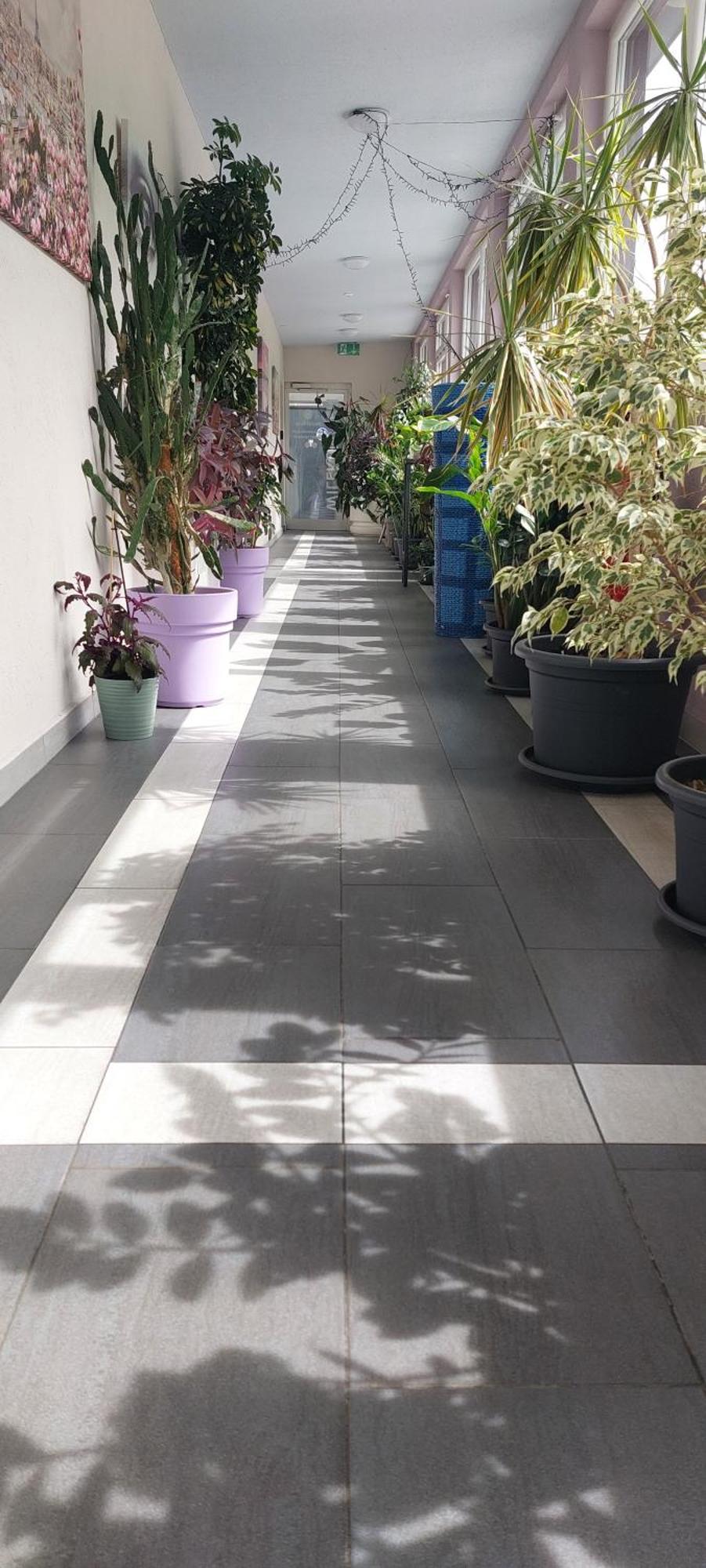 Hotel Belp Bern Airport Free Parking Exteriör bild